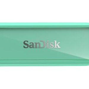 SanDisk Phone Drive with USB-C, 256GB, Upto 150 MB/s, Seafoam Green, 2Y Warranty, Automatic Backup Using SMZ, Works with iPhone 15 & iPhone 16 Series