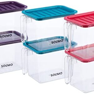 Amazon Brand – Solimo Plastic Multi-Purpose Fridge Storage Container with Handle & Lid I Fruit & Vegetable Basket I BPA Free I Food Grade| 1100 Ml Set of 6| Multicolor