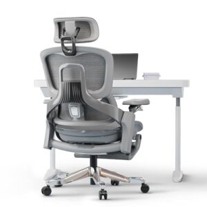 DROGO Mesh Ergo Flow Luxury Ergonomic Office Chair for Work from Home with Patented Flow Technology,4D Armrest with Wired Cable Mechanism,3D Headrest & Lumbar Support,Gaming Chair with Recline (Grey)
