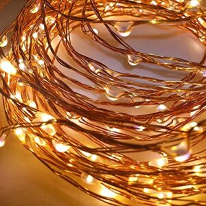 Desidiya 3AA Battery Powered Copper String Decorative LED Fairy Lights Warm White, 5 Meters, 50 LED’s (Pack of 1)