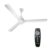 Crompton Energion Hyperjet 1200mm BLDC Ceiling Fan | Point Anywhere Remote Control | BEE 5 Star Rated Energy Efficient | Superior Air Delivery | Anti-Rust | 2 Year Manufacturer Warranty | Opal White