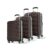 Aristocrat Comet Set of 3 (Cabin+Medium+Large) Hard Case Trolley Bags,Brown