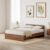 Amazon Brand – Solimo Medusa Engineered Wood Queen Bed (Walnut Finish)
