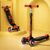Lifelong Kids Scooter and Foldable Kick Skating Cycle