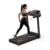 Cockatoo SmartRun3.5 3.5HP Peak DC Motorized Treadmill for Home, with 3 Level Manual Incline, Max Speed 12 Km/Hr (DIY Installation)