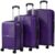 Teakwood Set of 3 8 Wheels Trolley Bag, Hard Cabin with Zipper Closure, Adjustable Push Button & Cross Side Strap, Number Lock System 360 Degree (Set of 3, Purple)