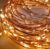 Desidiya 3AA Battery Powered Copper String Decorative LED Fairy Lights Warm White, 5 Meters, 50 LED’s (Pack of 1)